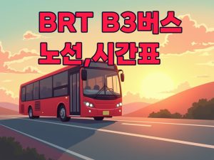 B3버스 노선 시간표 정보 총정리